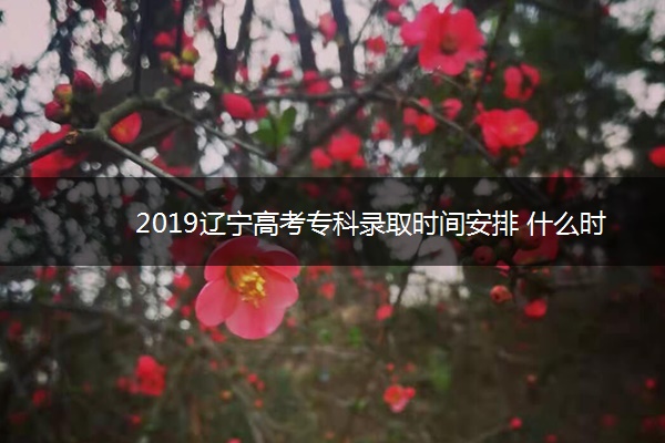 2019辽宁高考专科录取时间安排 什么时候录取