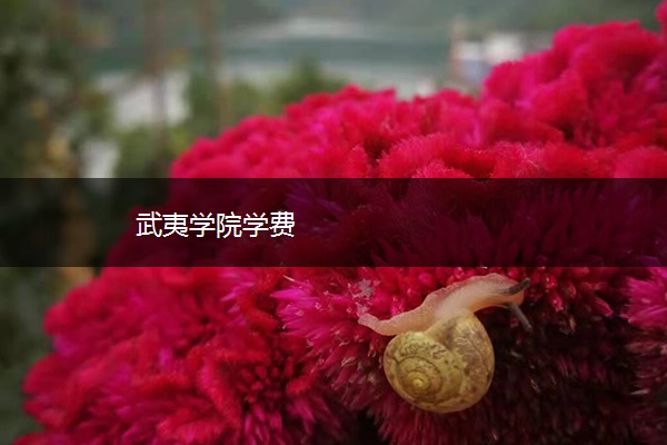 武夷学院学费