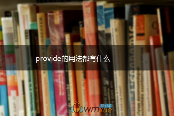 provide的用法都有什么