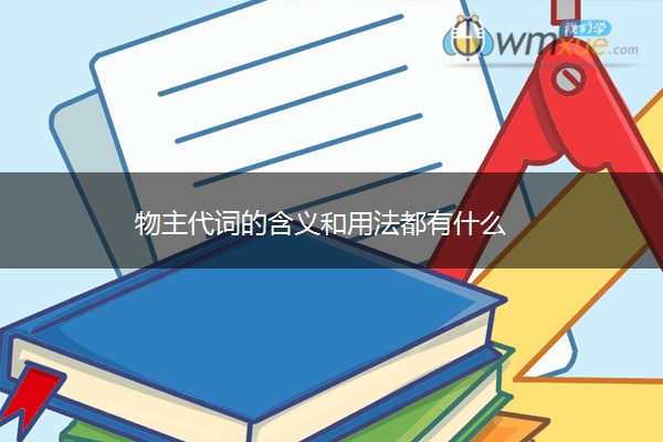 物主代词的含义和用法都有什么