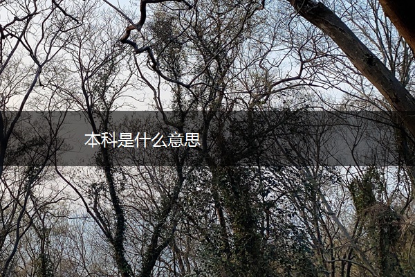 本科是什么意思