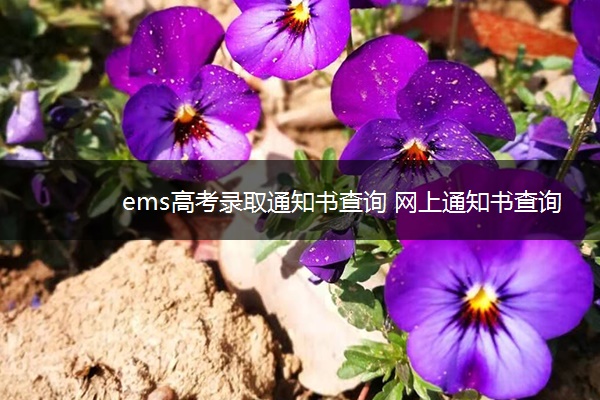 ems高考录取通知书查询 网上通知书查询系统