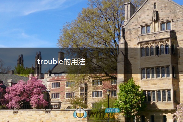 trouble的用法