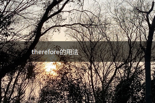 therefore的用法