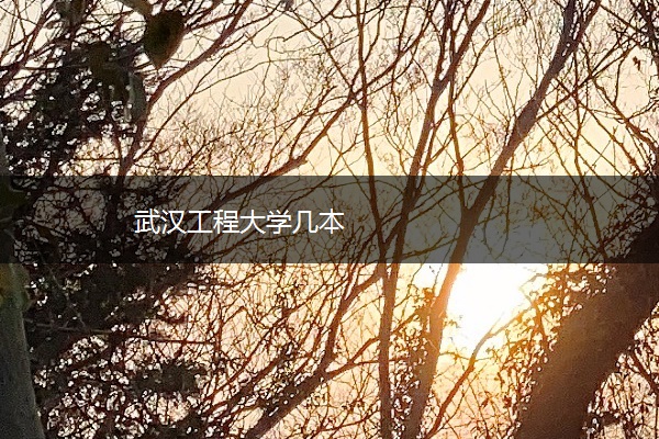 武汉工程大学几本