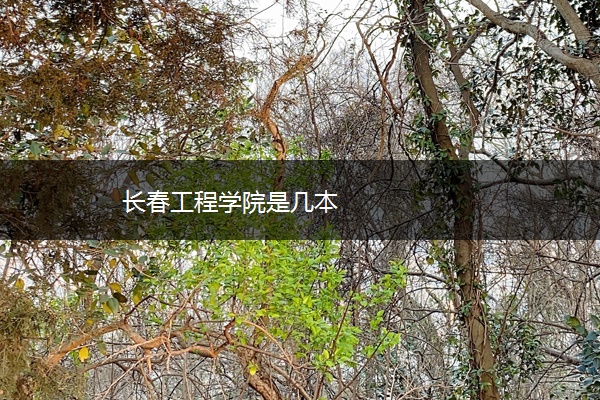 长春工程学院是几本