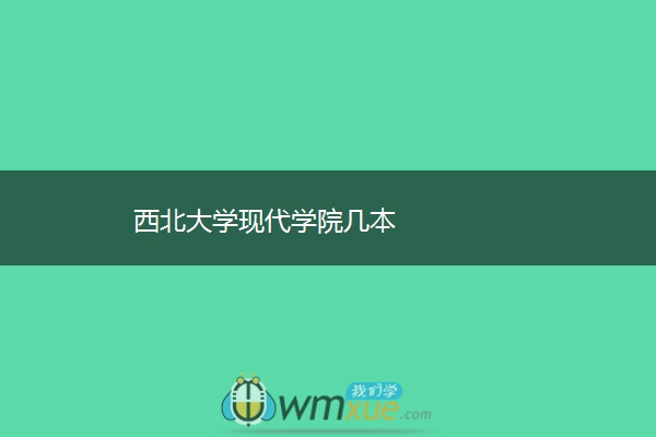 西北大学现代学院几本