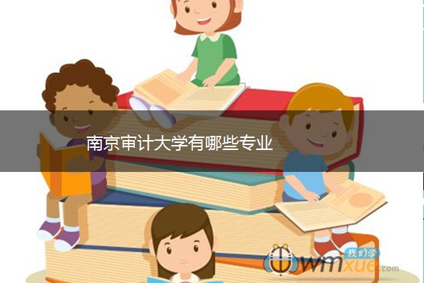 南京审计大学有哪些专业