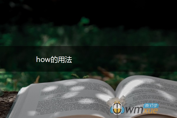 how的用法