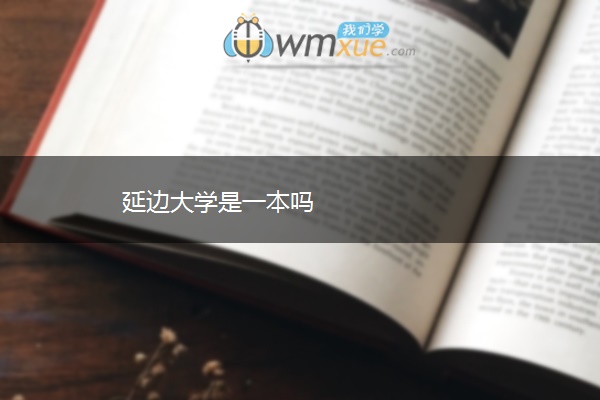 延边大学是一本吗