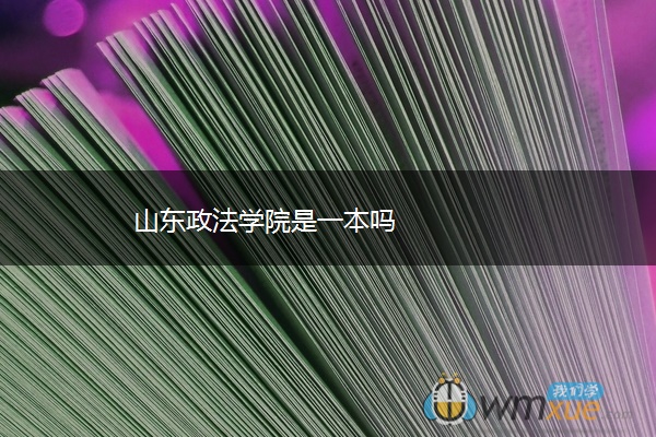 山东政法学院是一本吗