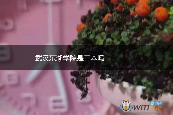 武汉东湖学院是二本吗