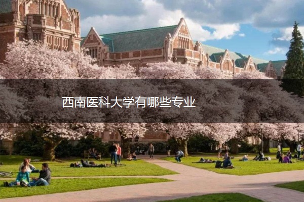 西南医科大学有哪些专业