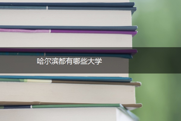 哈尔滨都有哪些大学