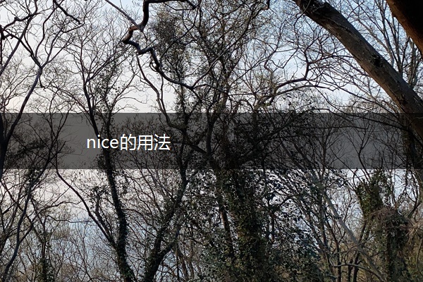 nice的用法