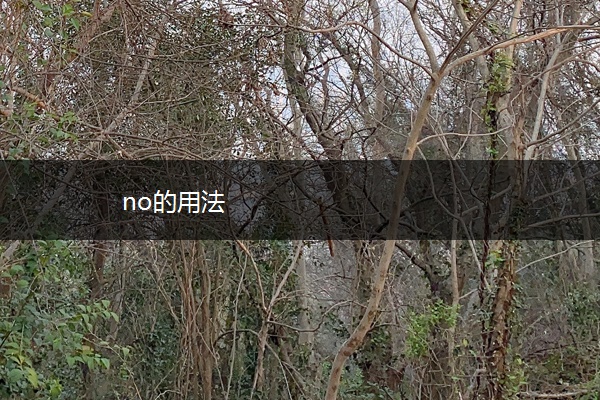 no的用法