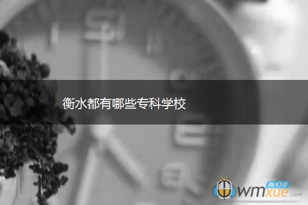衡水都有哪些专科学校