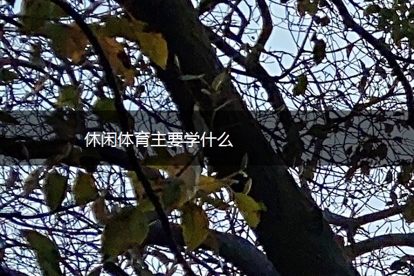 休闲体育主要学什么