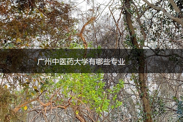 广州中医药大学有哪些专业