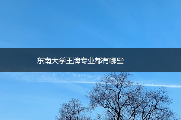 东南大学王牌专业都有哪些