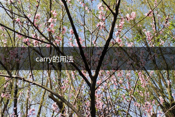 carry的用法
