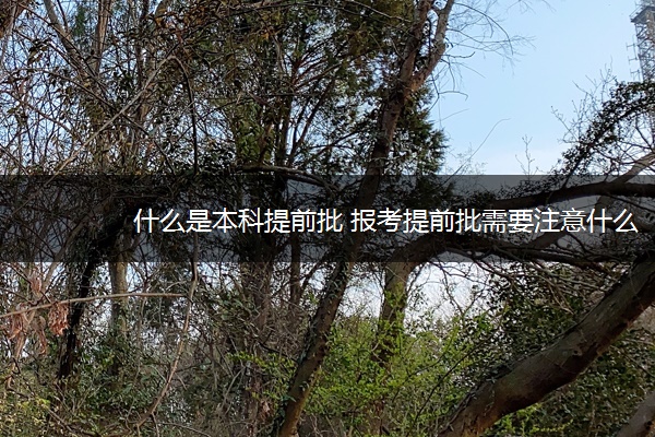什么是本科提前批 报考提前批需要注意什么