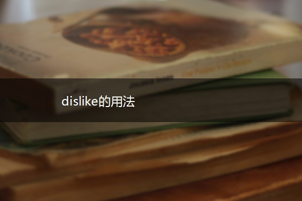 dislike的用法