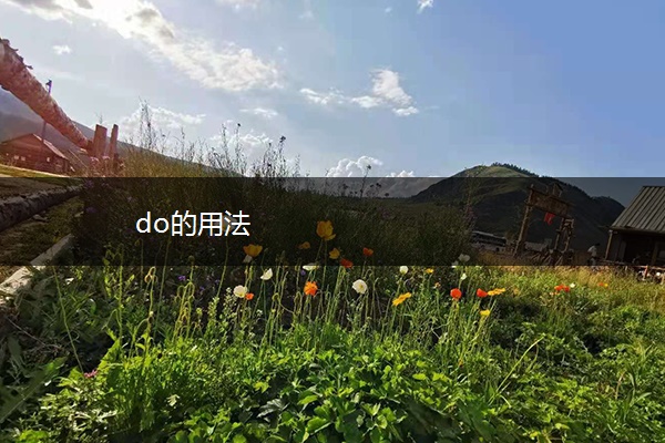 do的用法
