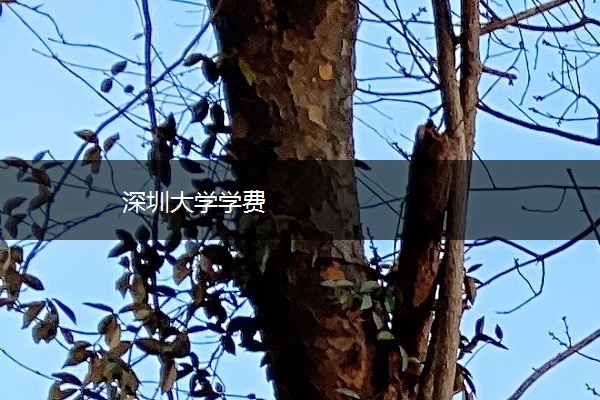 深圳大学学费