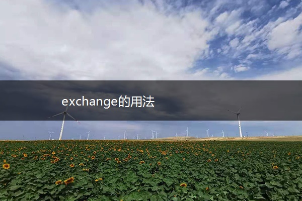 exchange的用法