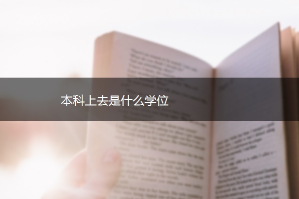 本科上去是什么学位