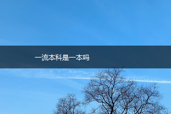 一流本科是一本吗