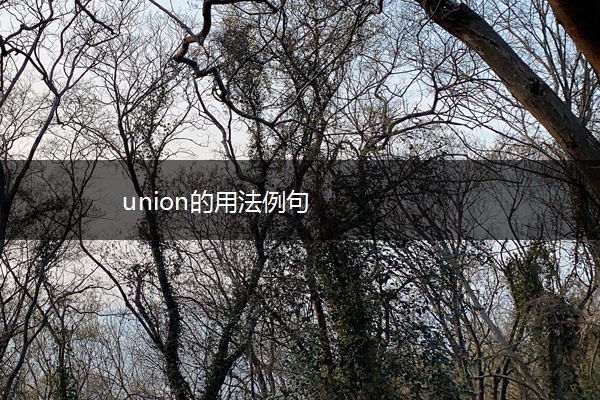 union的用法例句