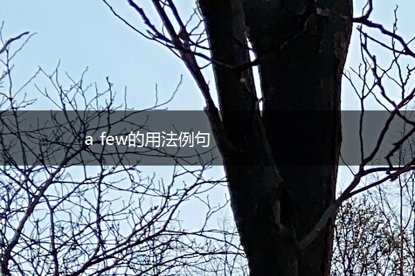 a few的用法例句