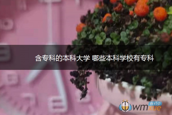 含专科的本科大学 哪些本科学校有专科