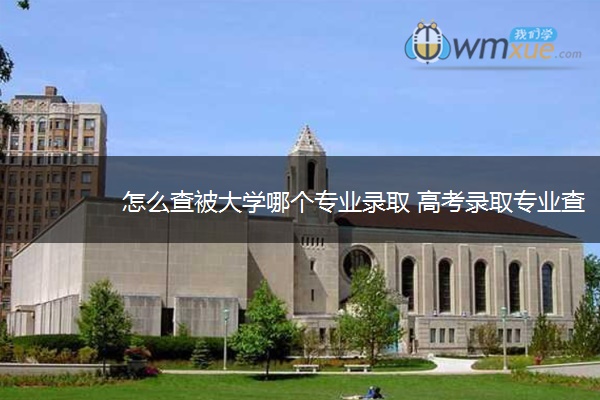 怎么查被大学哪个专业录取 高考录取专业查询