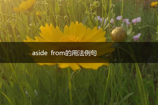 aside from的用法例句