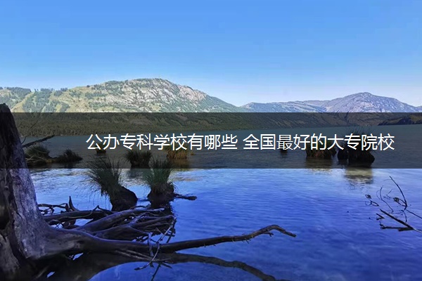 公办专科学校有哪些 全国最好的大专院校