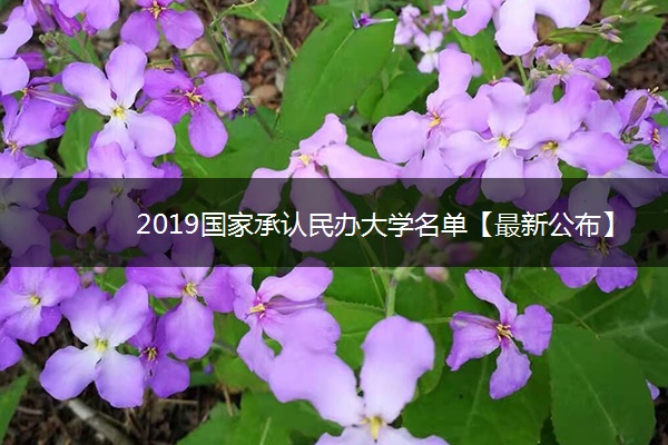 2019国家承认民办大学名单【最新公布】