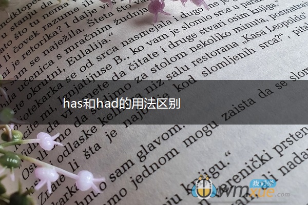 has和had的用法区别