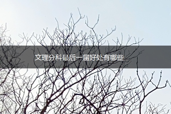 文理分科最后一届好处有哪些