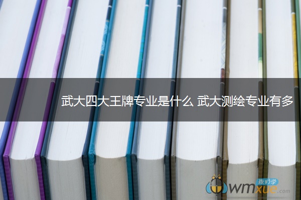 武大四大王牌专业是什么 武大测绘专业有多牛