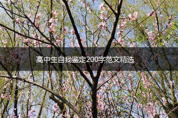 高中生自我鉴定200字范文精选