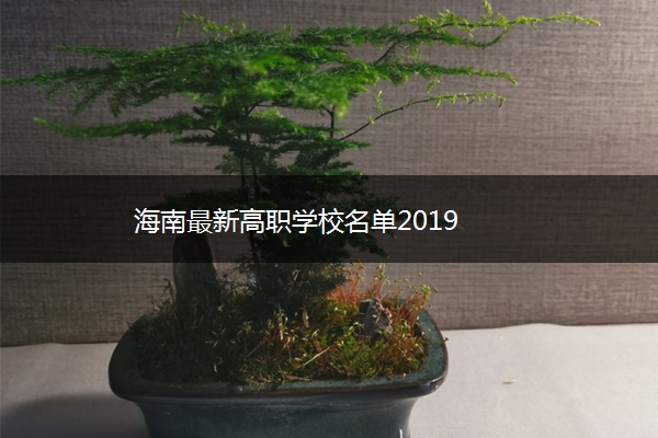海南最新高职学校名单2019