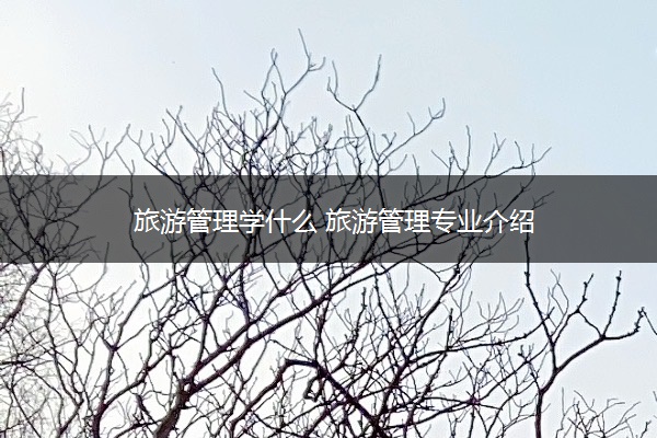 旅游管理学什么 旅游管理专业介绍