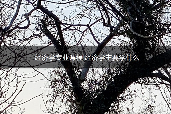 经济学专业课程 经济学主要学什么