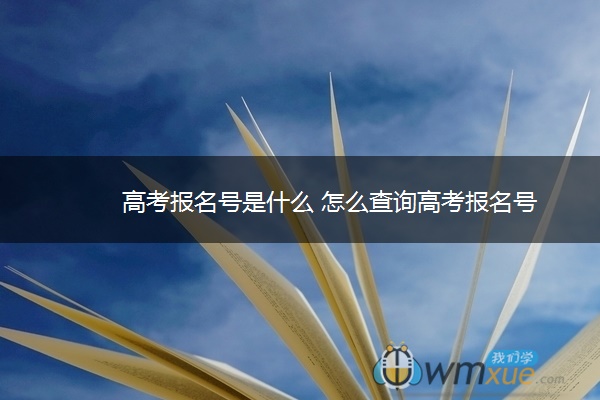 高考报名号是什么 怎么查询高考报名号