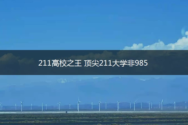 211高校之王 顶尖211大学非985