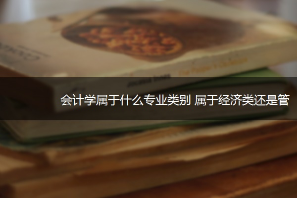 会计学属于什么专业类别 属于经济类还是管理类