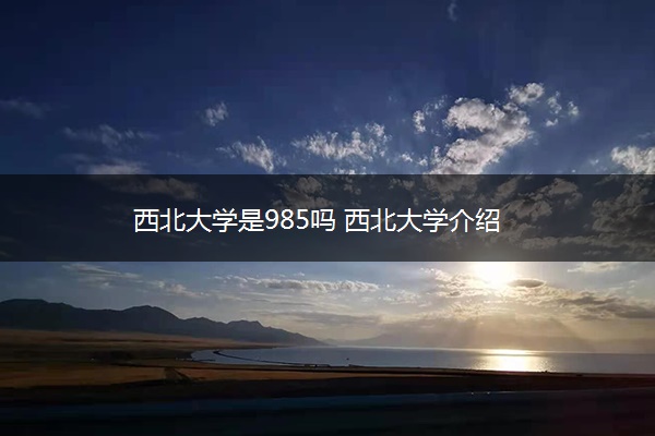 西北大学是985吗 西北大学介绍
